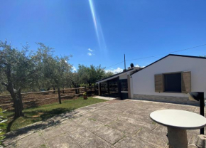 Tenuta Del Casale